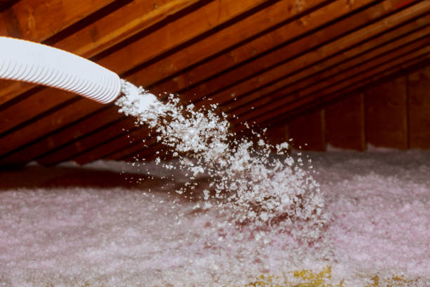Best Insulation Materials and Products in Kenmore, WA
